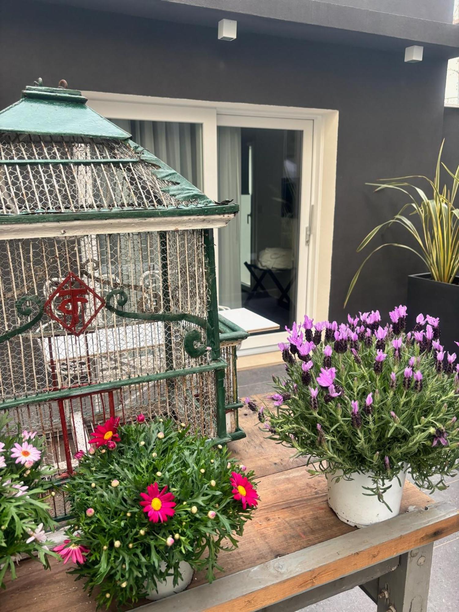 Villa Monti Suites&Aparts Cesenatico Zewnętrze zdjęcie